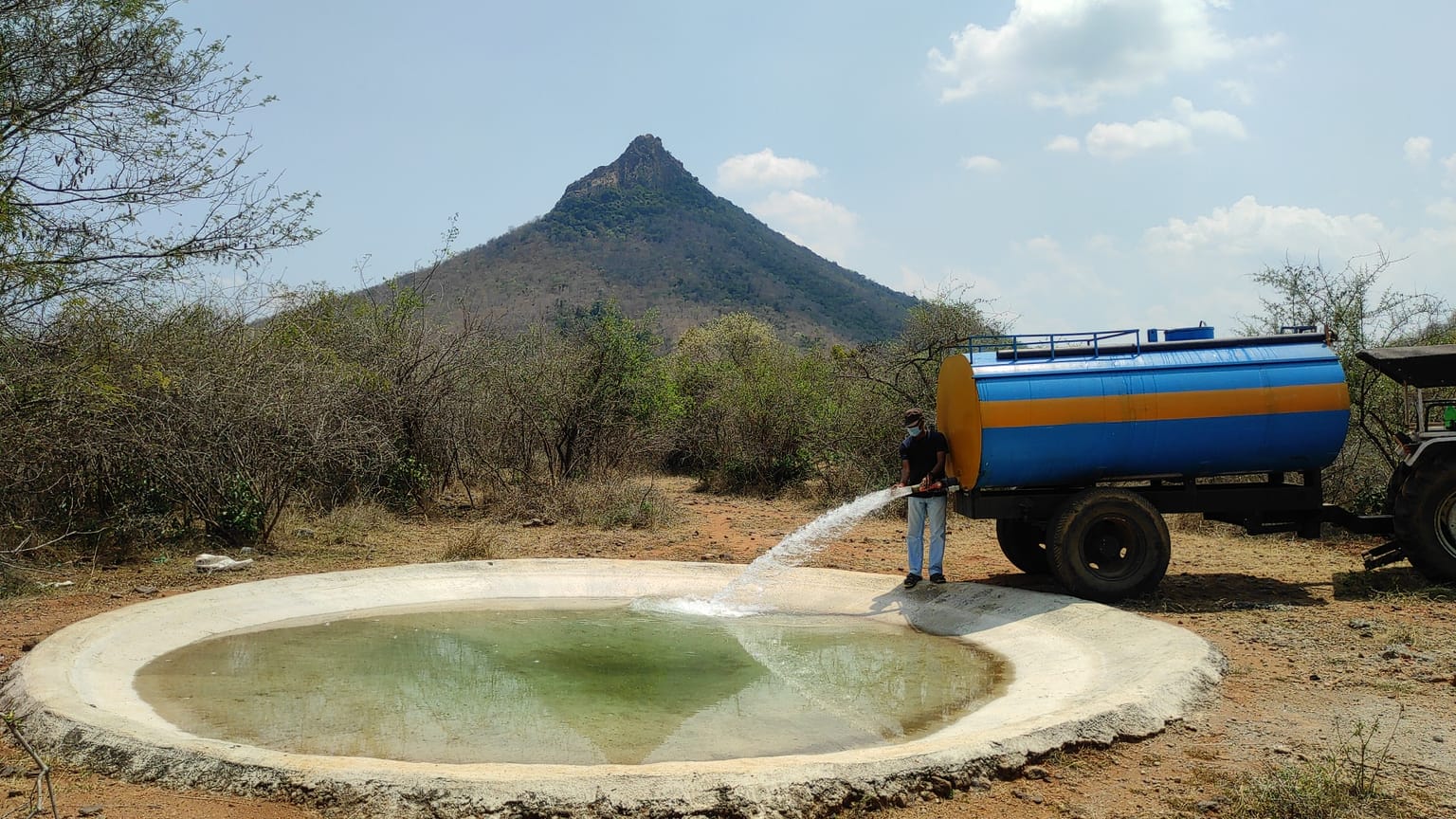 Wildlife Water Project